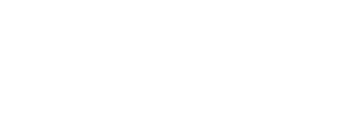 Digital Solutions Shield / درع الحلول الرقمية